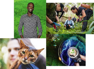 Fyra bilder som sitter ihop, ett porträtt av en student som står framför en grön vägg, en grupp studenter som undersöker markvegetation, en kvinna med en katt på axeln samt SLU:s profilkollage.